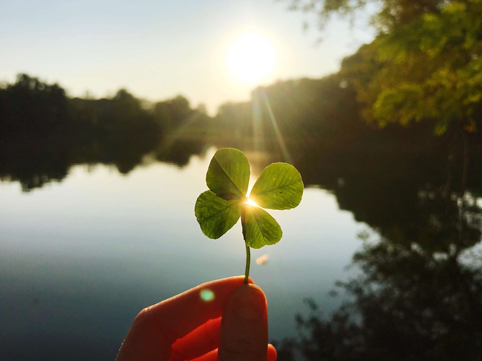 Au 1er plan une main tien un trèfle à 4 feuilles, au 2nd plan on voit un lac, l'eau est calme, on apperçoit des arbre en arrière plan.