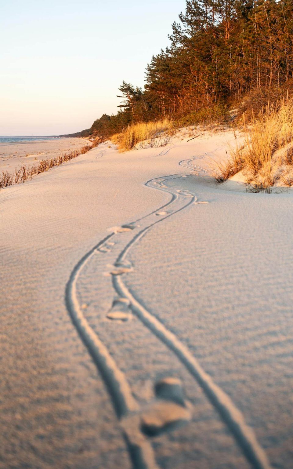 une plage au coucher du soleil avec des traces de pas et de roues dessinées dans le sable qui montrent un chemin. Au loin la mer calme et de la végétation. Les lumières sont douces et l'environnement calme